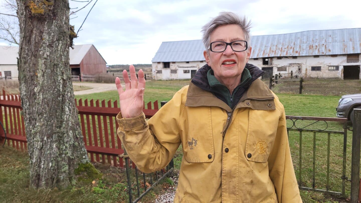 Anna at the barn in Gotland, Sweden, wearing a yellow jacket