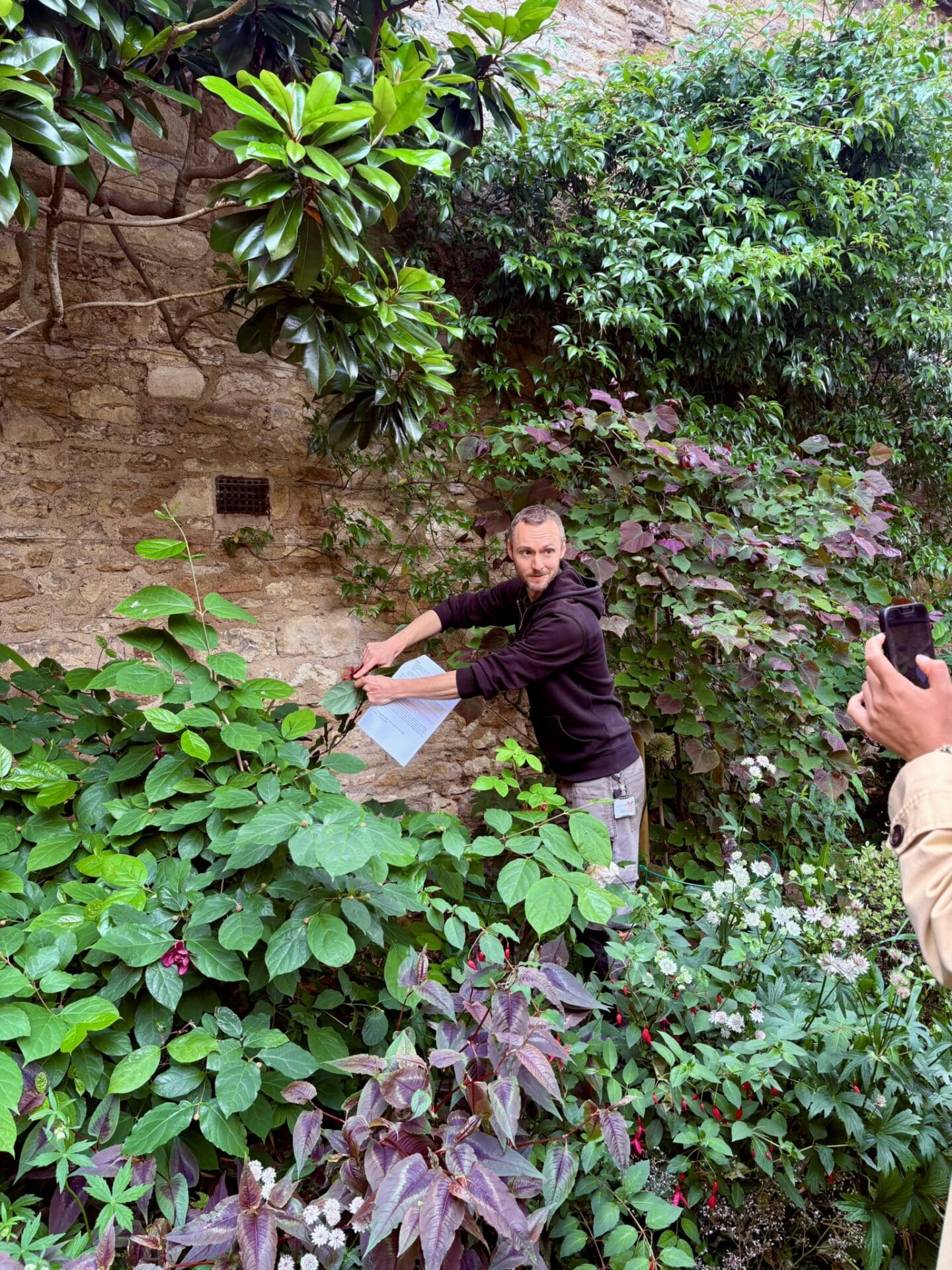 Mike Hawkins points out a plant specimen growing along a historic stone wall in Lincoln College’s garden, while a member of the tour group takes a photograph.