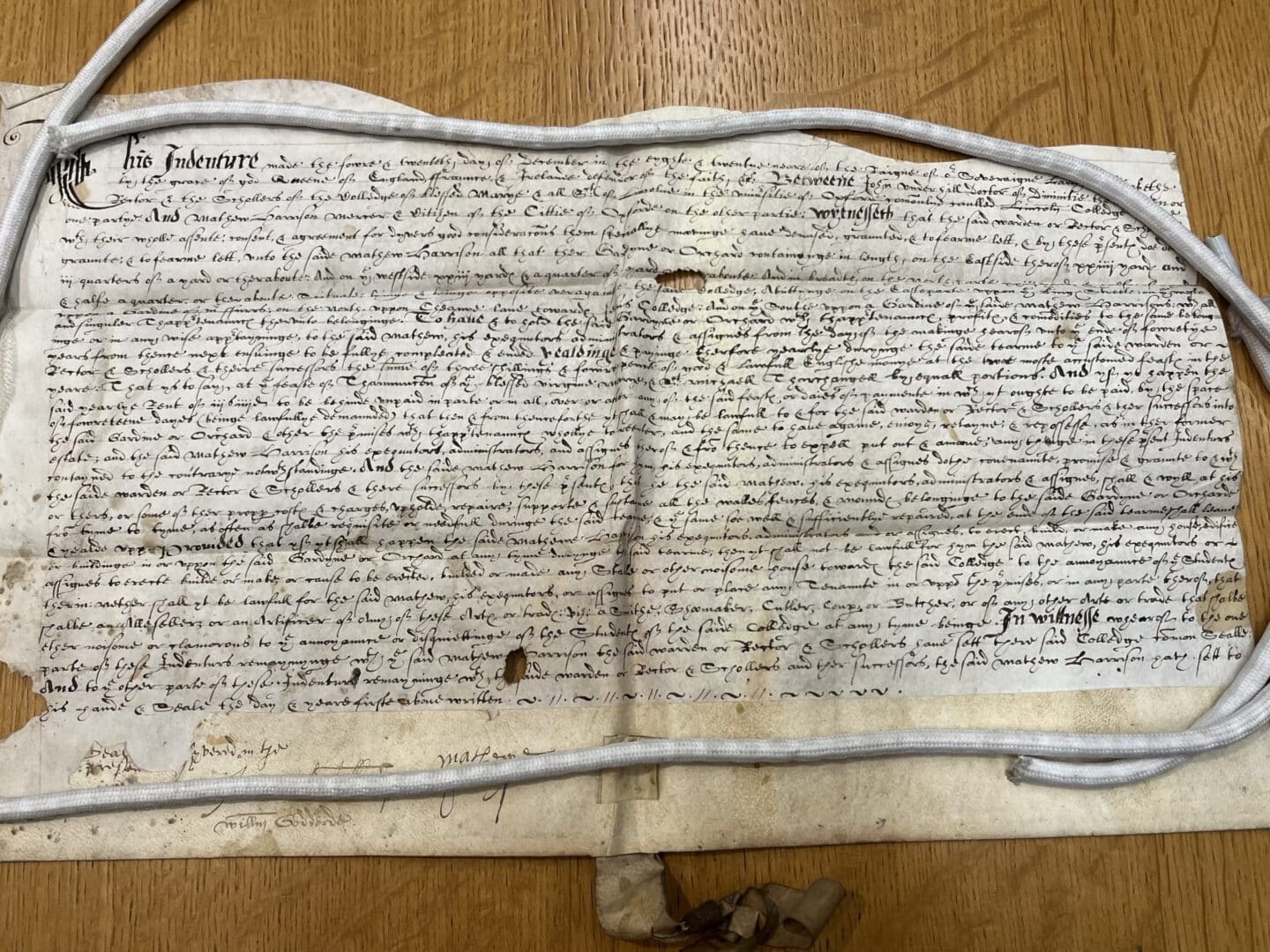 Elizabethan lease document dated 24 December 1585, granting use of a garden or orchard in Oxford’s All Saints parish. Manuscript on parchment with formal script and pendant seal tags.