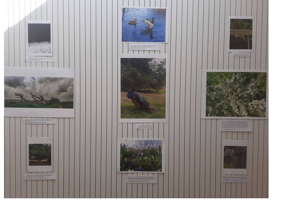 Nine photos of biodiversity displayed on a white wall