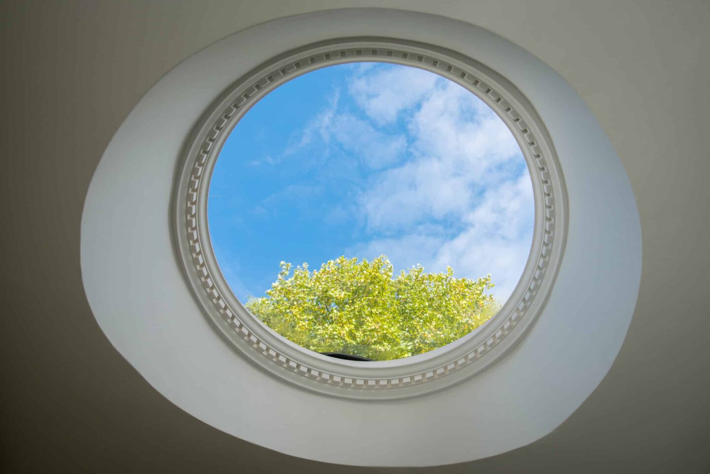 Blue sky and the top of a tree as viewed from a window in the Berrow Building
