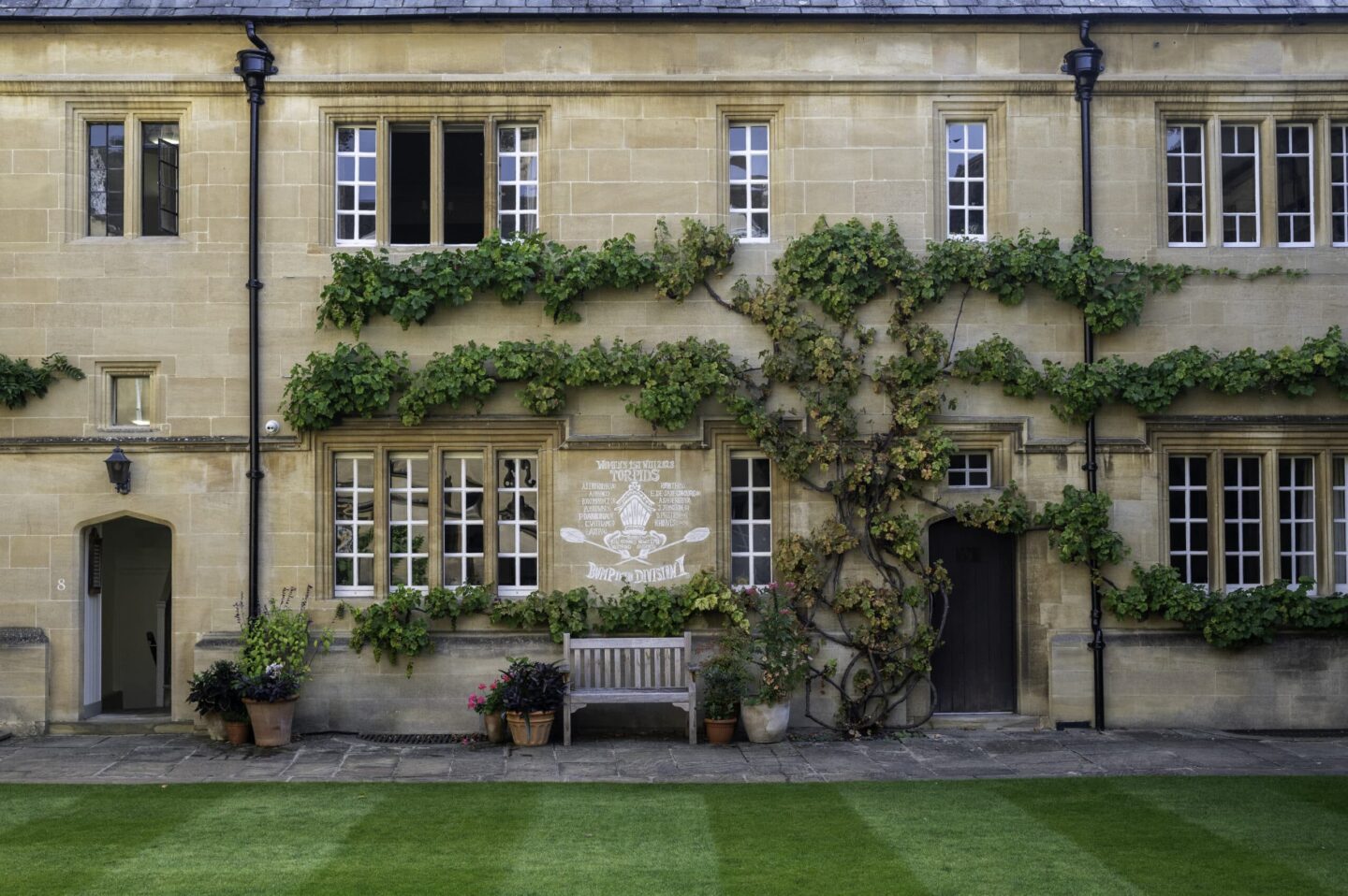 Photograph of the vine wall of Chapel Quad