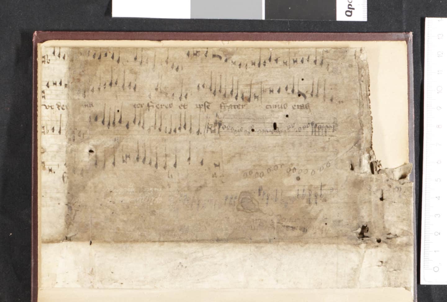15th century English book of polyphony. On parchment, with lead point ruling of staves with frame or rostrum, black mensural notation with full red and black void coloration.
