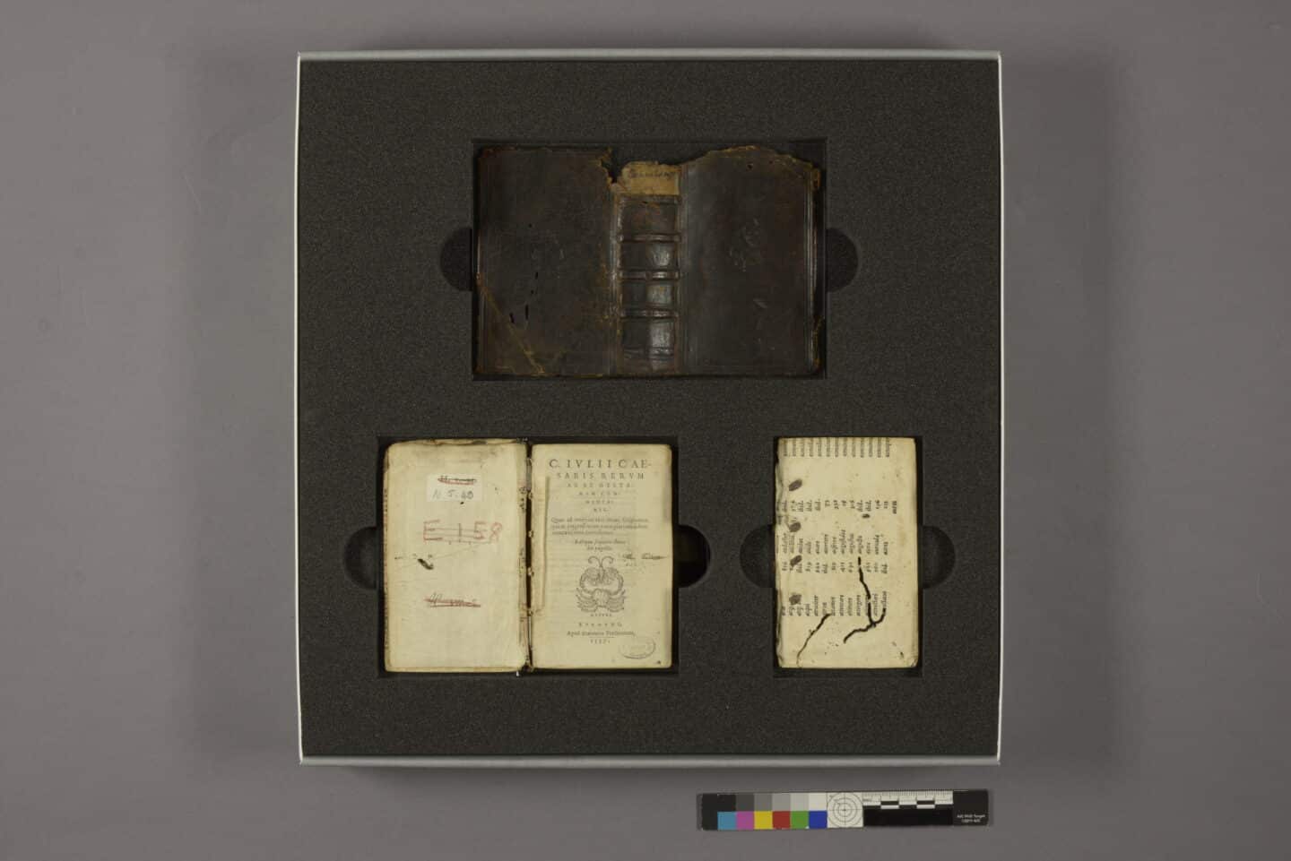 Three sections of a disbound book, including its damaged leather cover and some pages are laid out in a custom-made box with soft protective material