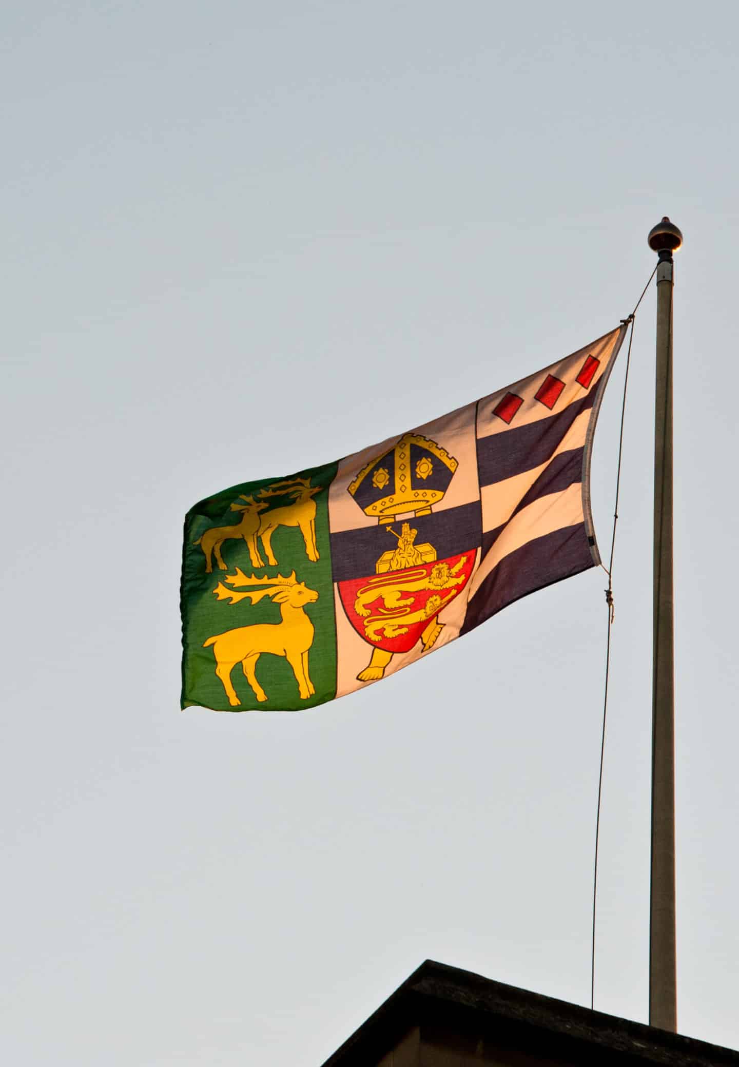 Lincoln College flag