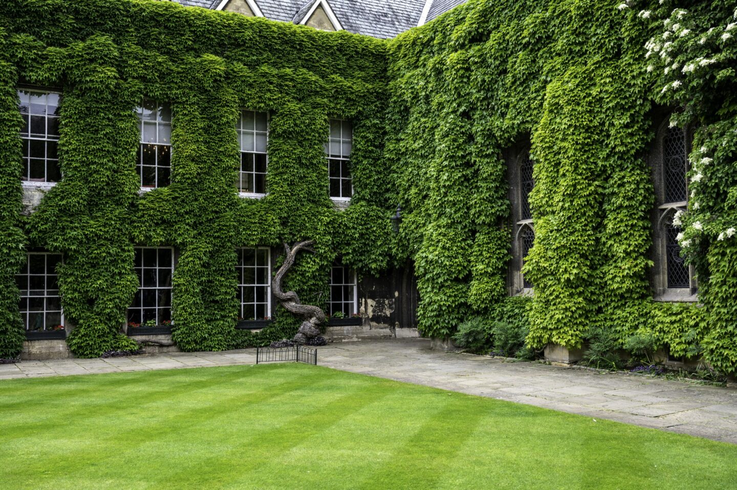 Lincoln College Front Quad with the ivy beautifully green