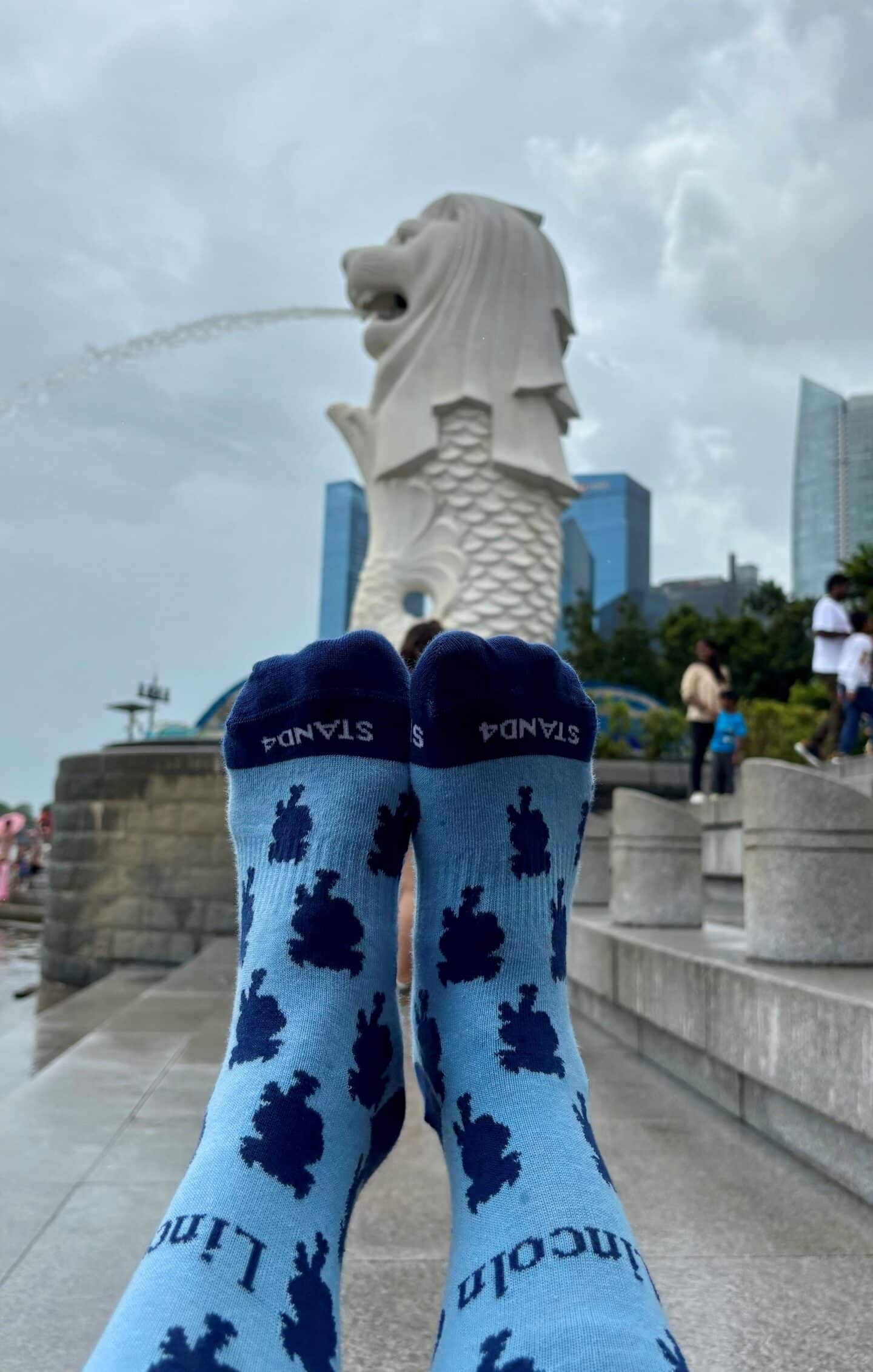 Socks for Scholarships, Lu Ping (Singapore)