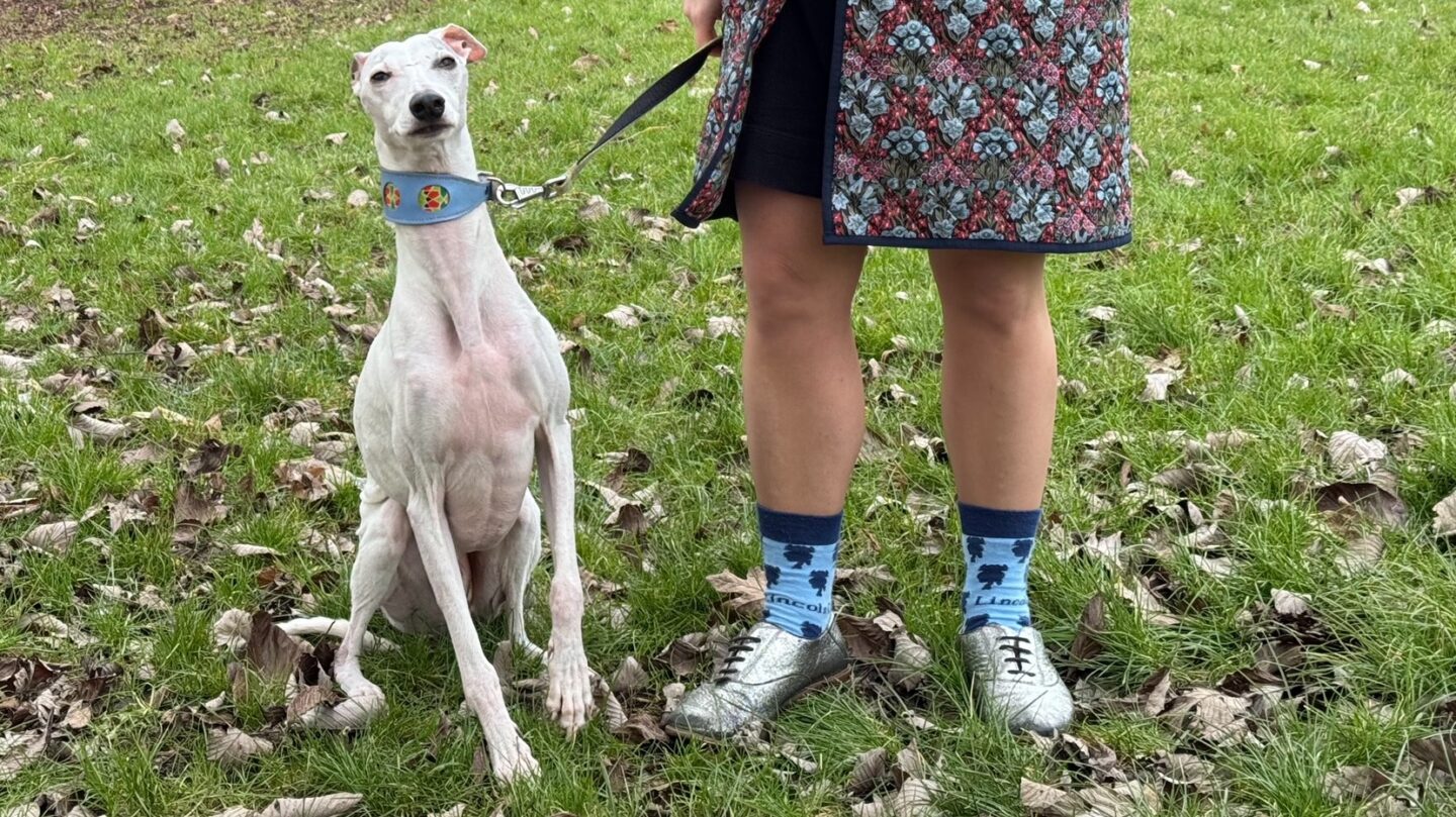 Socks for Scholarships: Amanda Sharp, Oxford